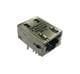 Amphenol Commercial Products RJMG2010S9930NR