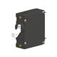 Carling Technologies AA1-B0-22-630-1B1-C