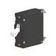 Carling Technologies AA1-B0-34-425-311-P