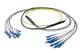 Pasternack PE3FCA463-30M