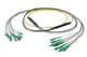 Pasternack PE3FCA466-30M