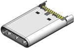 JAE Electronics DX07P024AJ1R1500 Enlarged Image