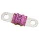 Littelfuse 153.5631.5502