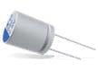 A755 Single-Ended Capacitors