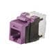 Panduit NK6X88MVL