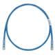 Panduit UTPSP19MBUY