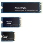 SanDisk SDAPMUW-256G Enlarged Image