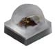 Cree LED XQARED-00-0000-000000W01