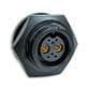 Conxall / Switchcraft W4B81-8SG-300