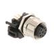 TE Connectivity / AMP 5-2172078-2